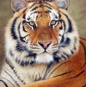 Meet your Posher, Betty